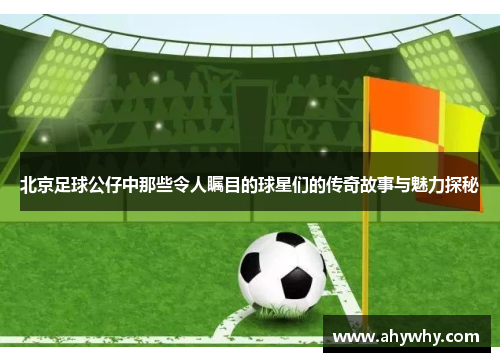 北京足球公仔中那些令人瞩目的球星们的传奇故事与魅力探秘