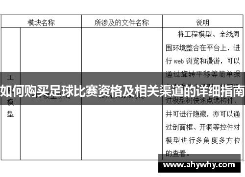 如何购买足球比赛资格及相关渠道的详细指南